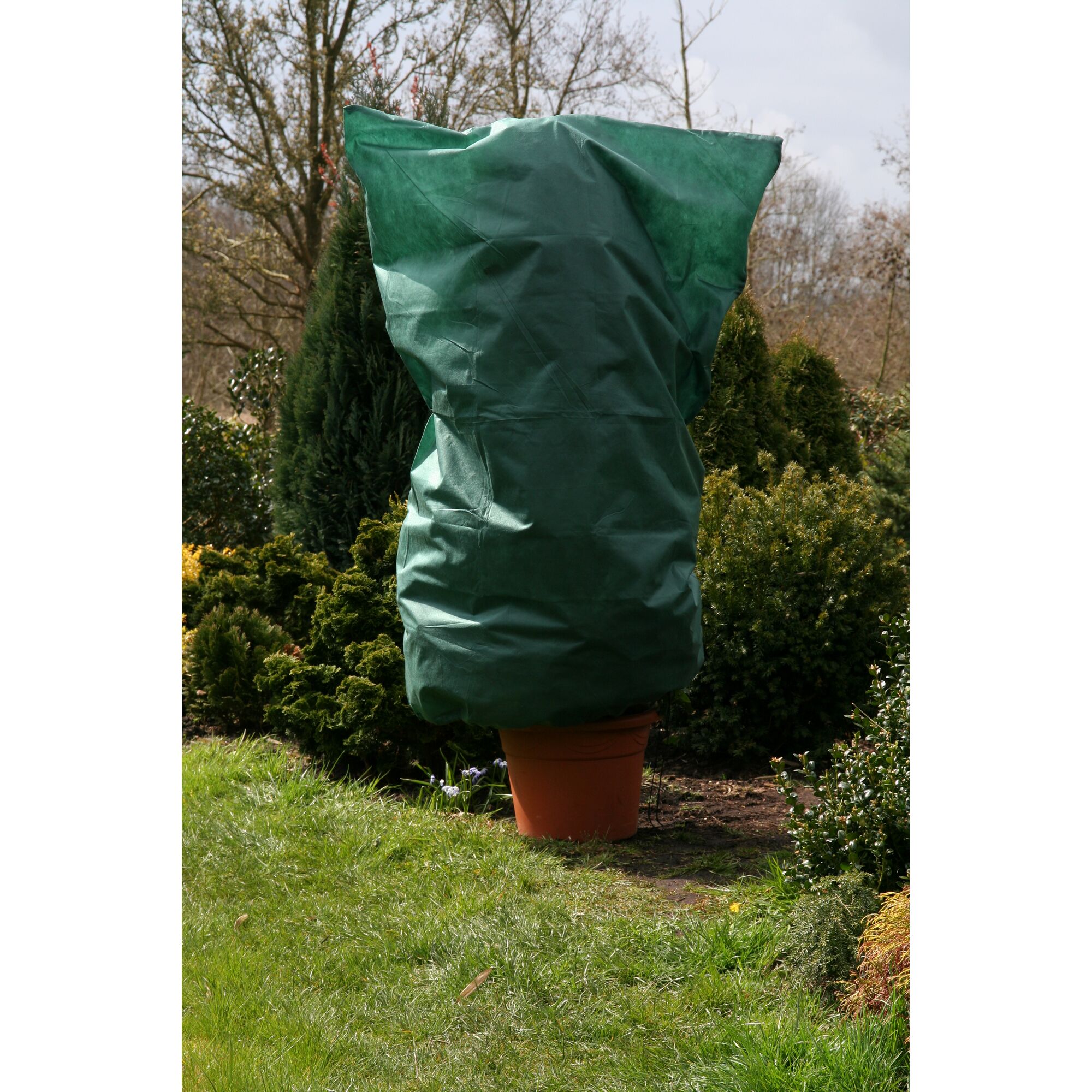 Topfpflanze mit Vlieshaube