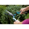 Person schneidet Buchsbäume mit Gartenschere