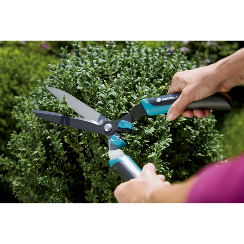 Person schneidet Buchsbäume mit Gartenschere