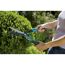 Person schneidet Buchsbaum mit Gartenschere