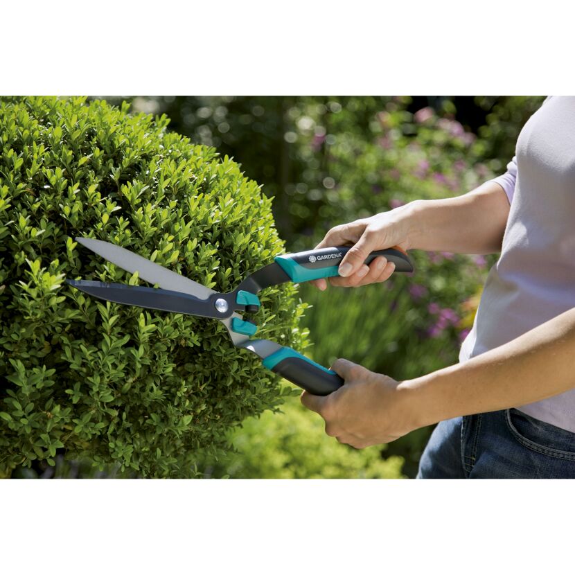 Person schneidet Buchsbaum mit Gartenschere