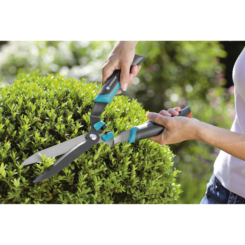 Person schneidet Buchsbaum mit GARDENA Comfort Buchsschere
