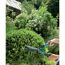Person schneidet Buchsbaum mit Gartenschere