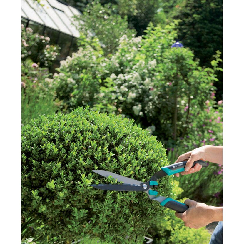 Person schneidet Buchsbaum mit Gartenschere