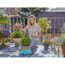 Person schneidet Buchsbaum mit Gartenschere