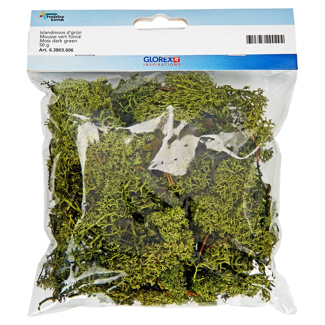 Islandmoos dunkelgrün in Verpackung