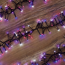 Verkleinertes Bild von Lichterkette Cluster bunt 300 LEDs außen