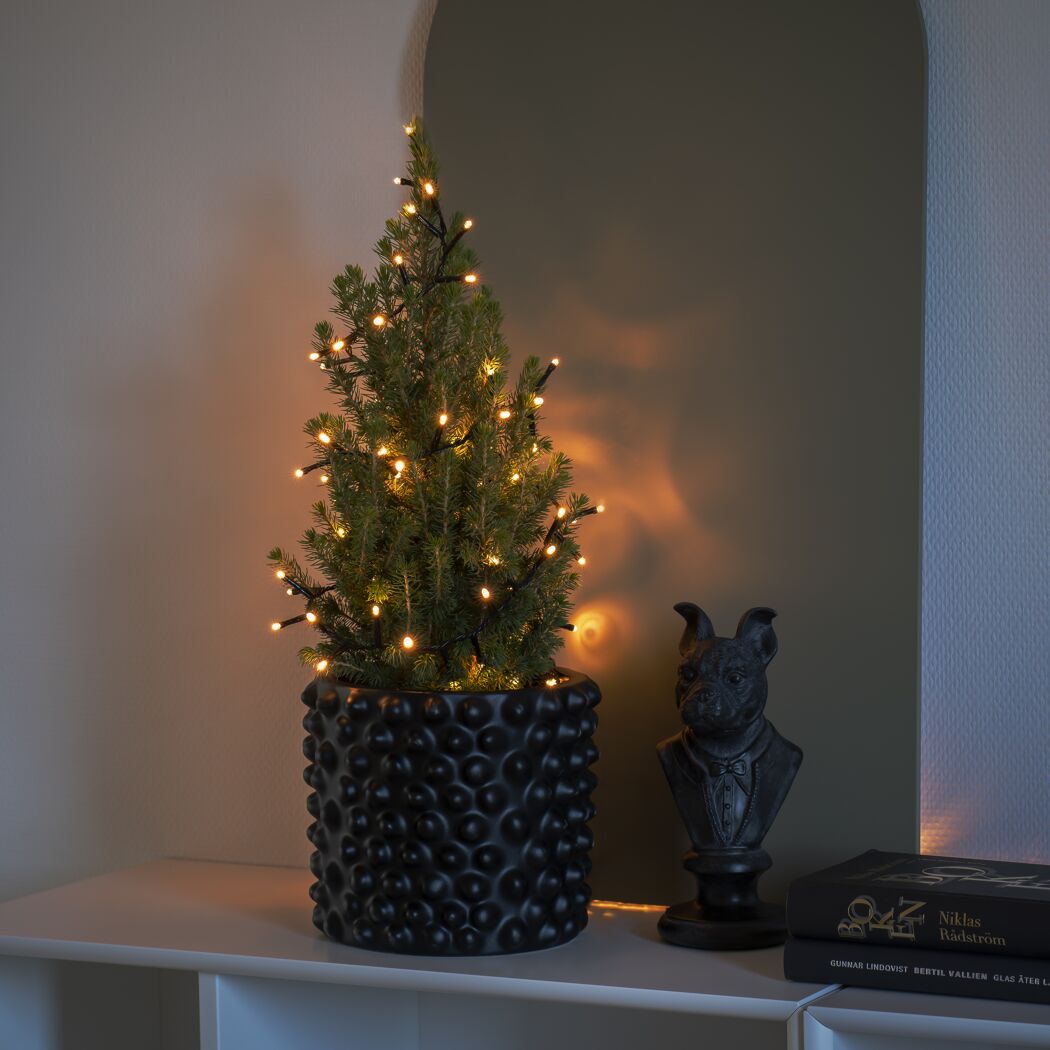 Kleiner Tannenbaum mit Lichterkette