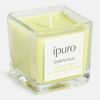 Duftkerze 'Essentials' Lime Light 125 g