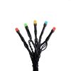 Bunt leuchtende Lichterkette mit schwarzem Kabel