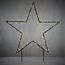 Leuchtender Gartenstecker Stern