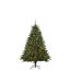 Künstlicher Weihnachtsbaum 'Vail' grün 155 cm, mit LED-Beleuchtung