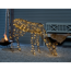 Verkleinertes Bild von LED-Dekofigur 'Rentier' 320 LEDs warmweiß 145 x 100 cm