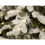 Verkleinertes Bild von Künstlicher Weihnachtsbaum 'Alpine' grün schneebedeckt 180 cm, mit LED-Beleuchtung