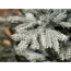 Verkleinertes Bild von Künstlicher Weihnachtsbaum 'Grandis' grün schneebedeckt 150 cm