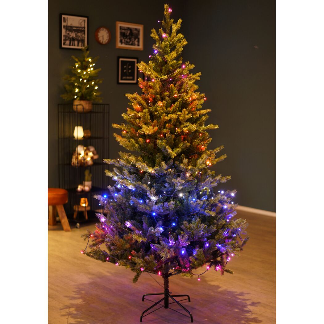 Weihnachtsbaum mit bunter Lichterkette