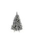 Beschneiter Weihnachtsbaum mit Zapfen