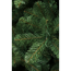 Künstlicher Weihnachtsbaum 'Tuscan' grün 450 cm