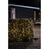 Lichterkette an einer Hecke