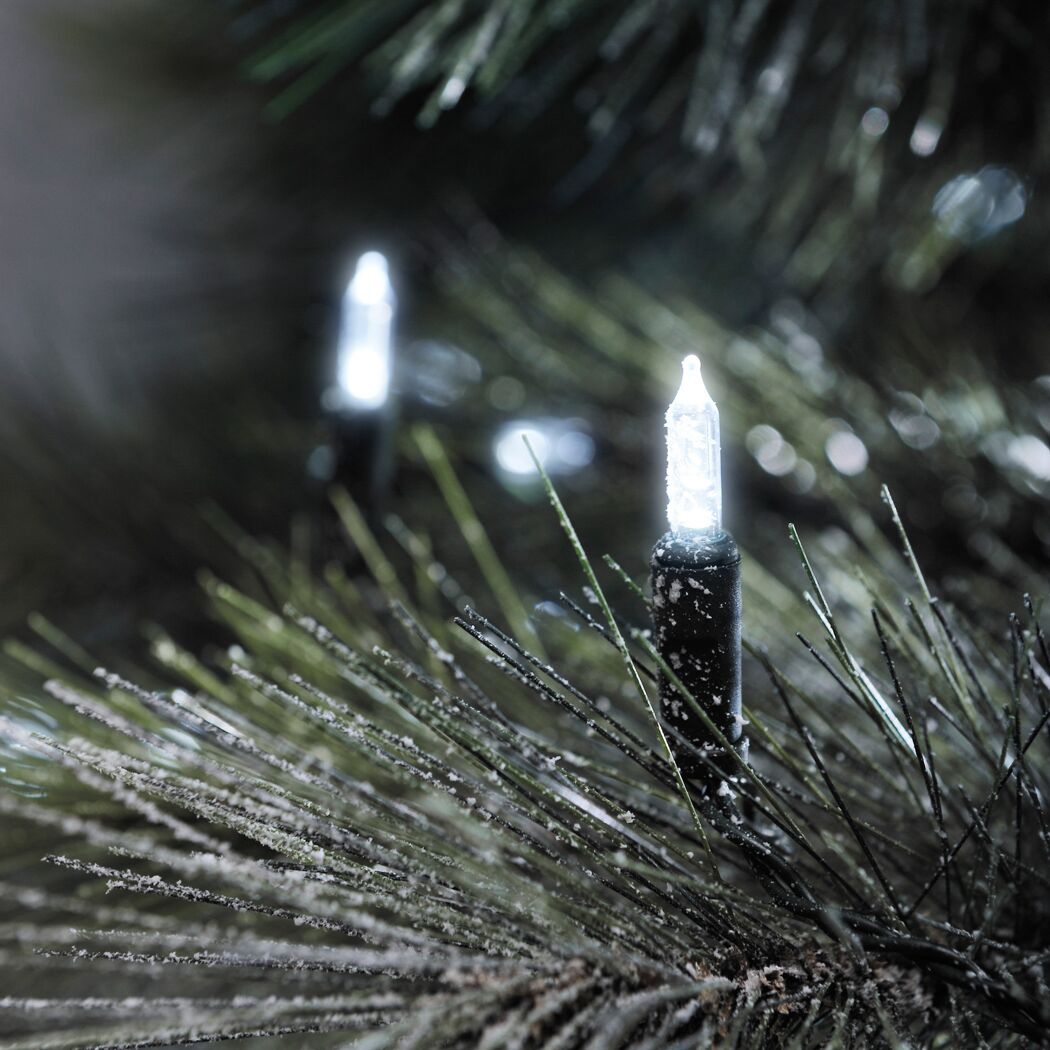 LED-Lichterkette an einem Tannenbaum