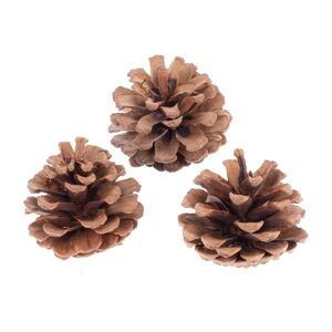 Kieferzapfen natur 6-8 cm 200 g