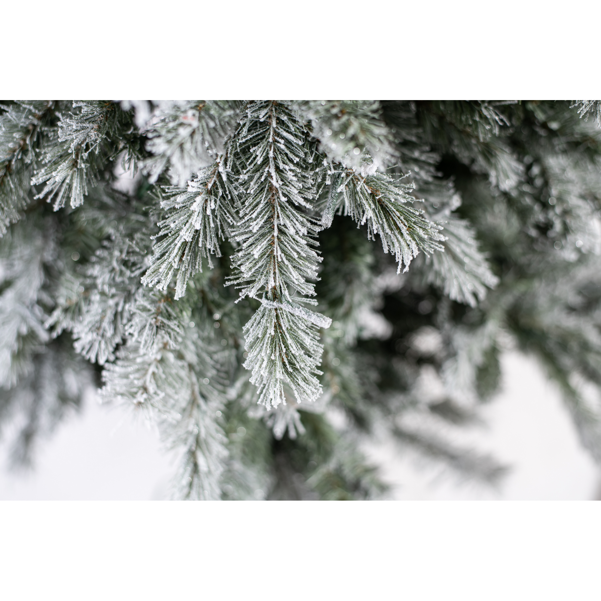 Künstlicher Weihnachtsbaum 'Frost Fichte' grün/frosted Ø 104 x 150 cm