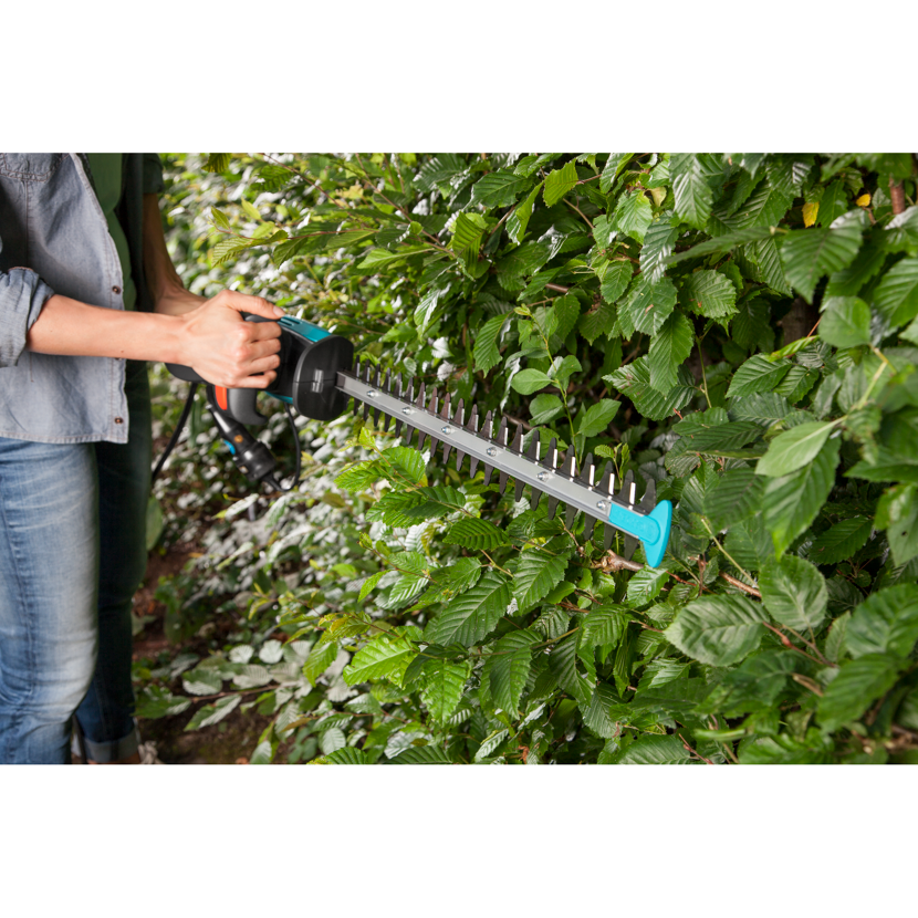 Person schneidet Hecke mit Elektro-Heckenschere.
