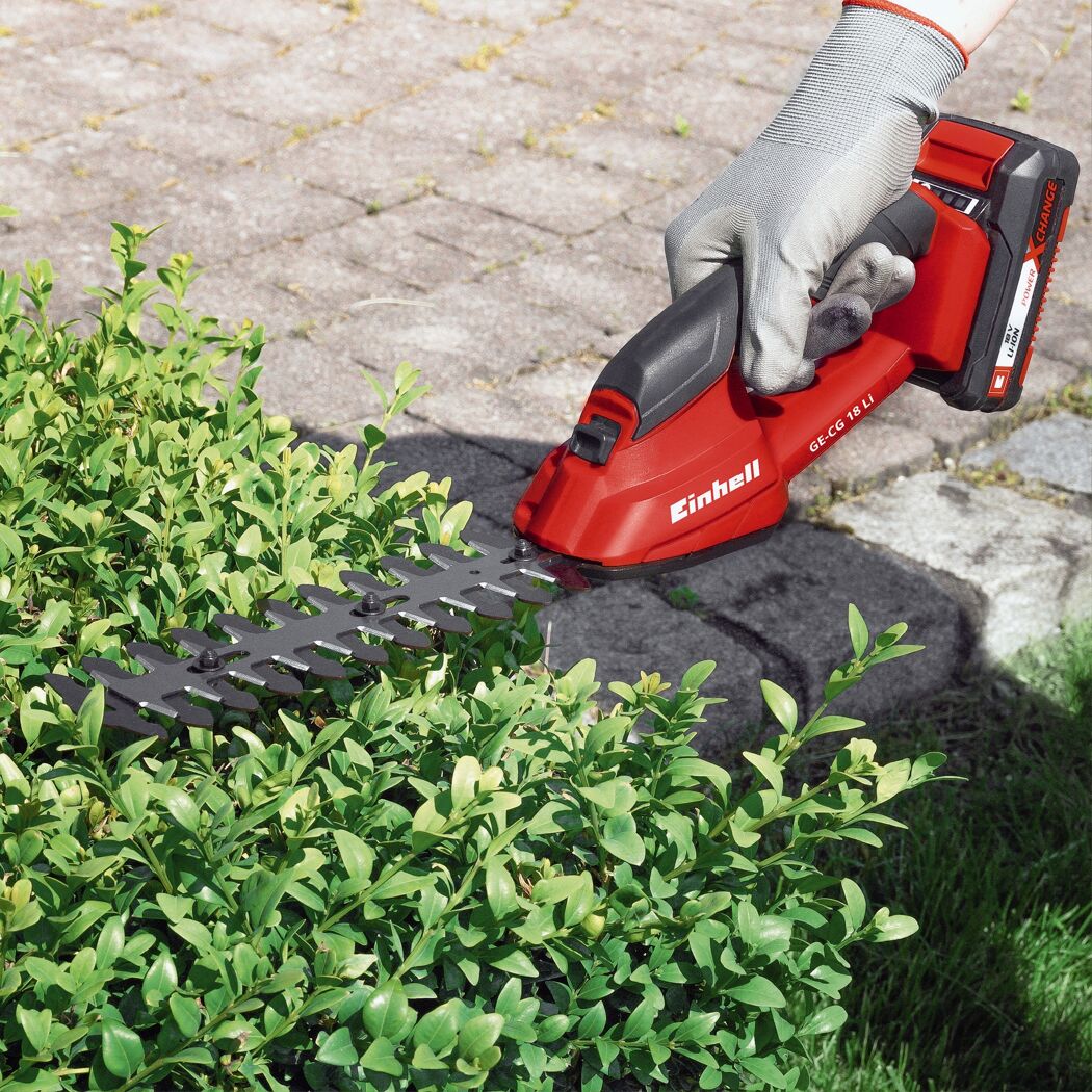 Person schneidet Hecke mit Akku-Heckenschere