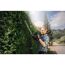 Person schneidet Hecke mit Akku-Heckenschere