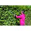 Person schneidet Hecke mit Elektro-Heckenschere