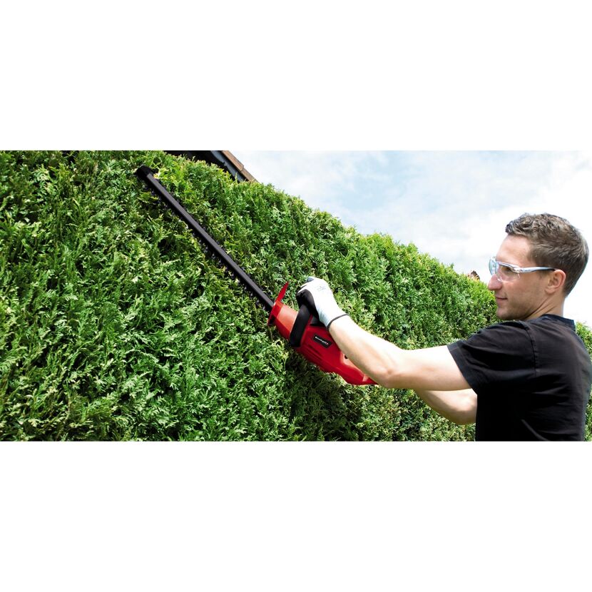 Person schneidet Hecke mit Heckenschere