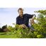 Person schneidet Hecke mit Gartenschere