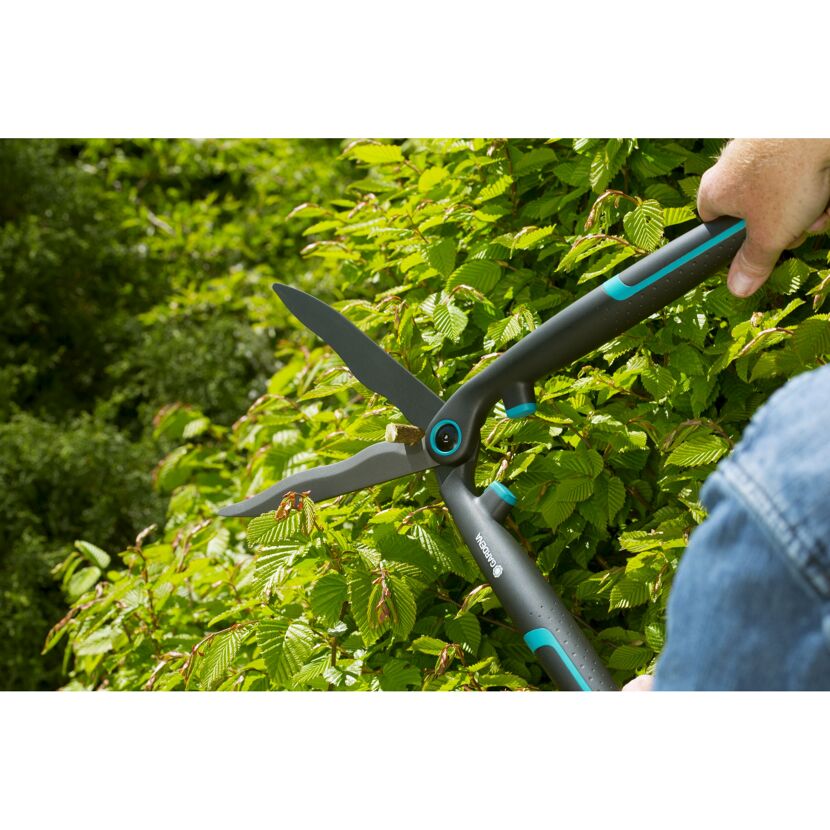 Person schneidet Hecke mit Gartenschere