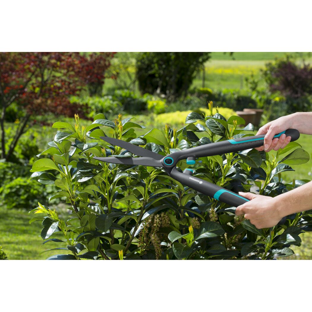 Heckenschere EasyCut