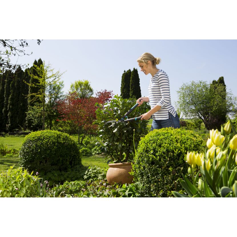 Person schneidet mit Gartenschere eine Pflanze
