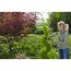 Person schneidet Hecke mit Gartenschere
