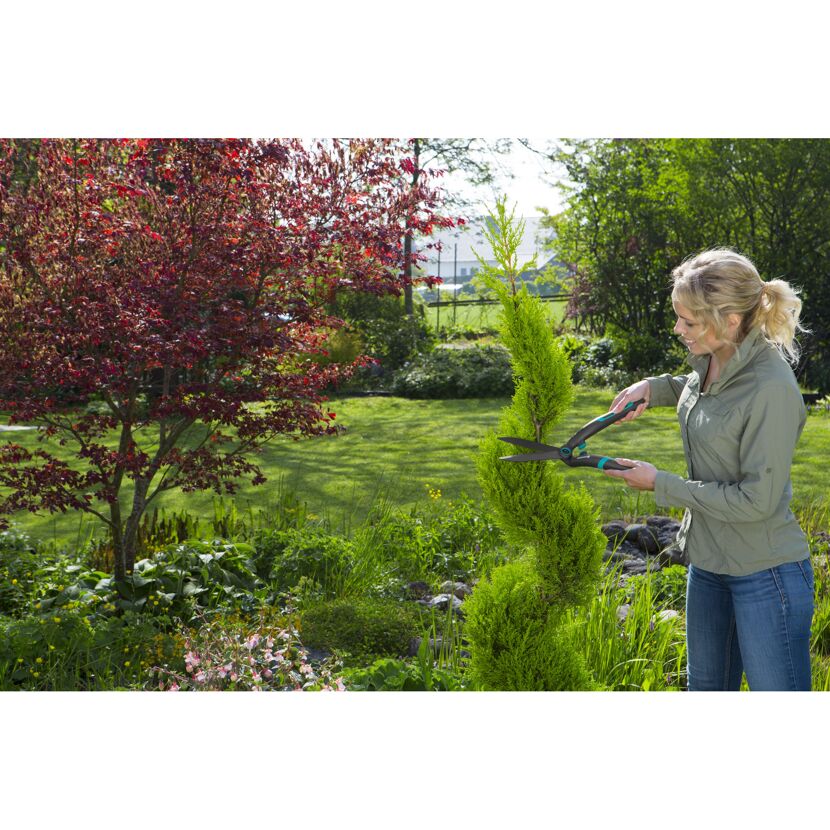 Person schneidet Hecke mit Gartenschere