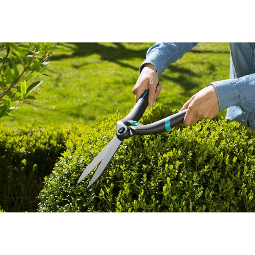 Person schneidet Hecke mit Heckenschere