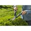 Person schneidet Hecke mit Gartenschere