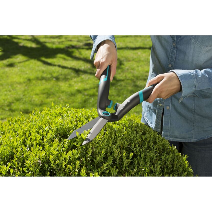 Person schneidet Hecke mit Gartenschere