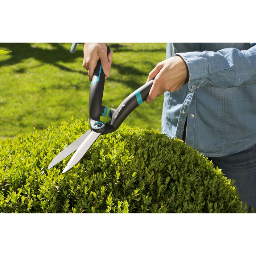 Person schneidet Hecke mit Gartenschere