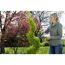 Person schneidet mit Gartenschere eine Pflanze