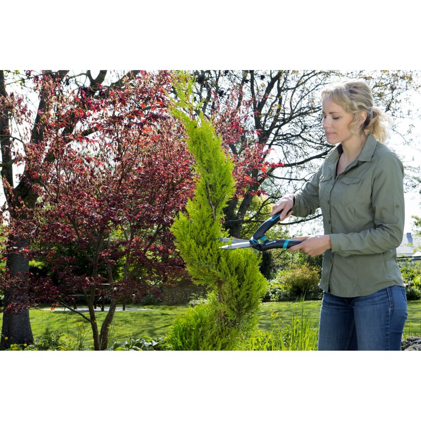 Person schneidet mit Gartenschere eine Pflanze