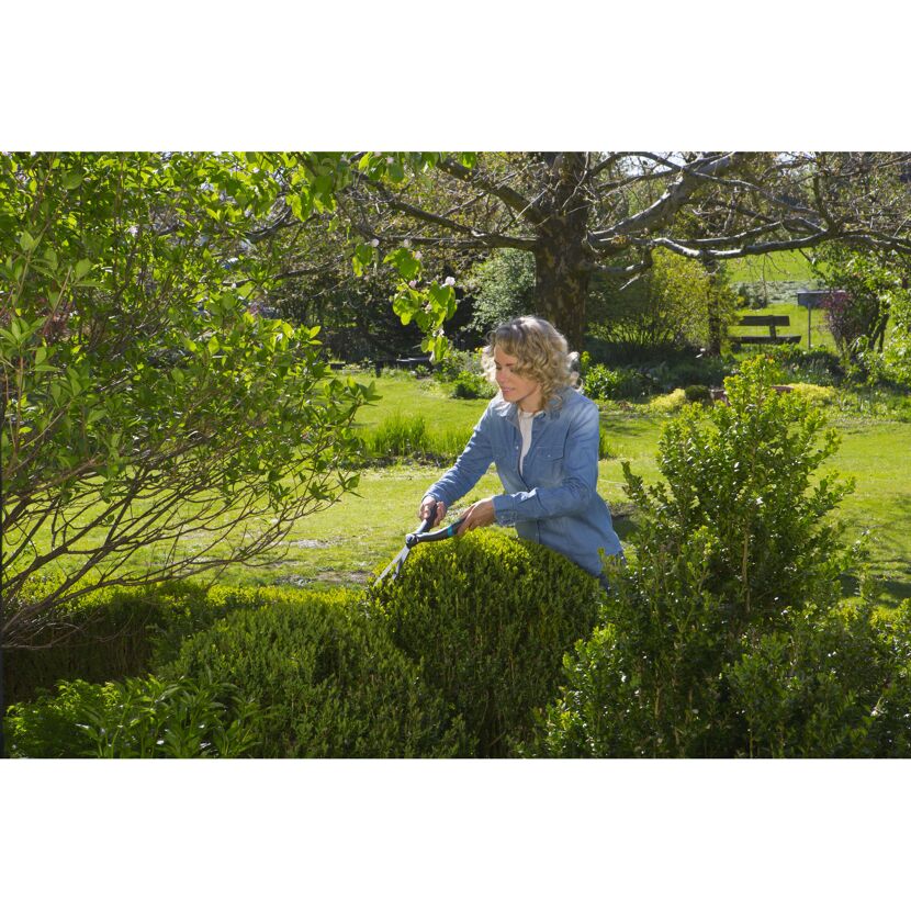 Person schneidet Hecke mit Heckenschere