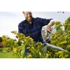 Person schneidet Hecke mit einer Heckenschere