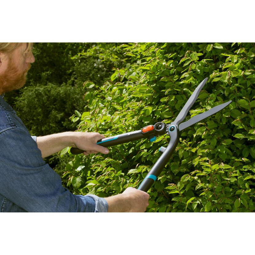 Person schneidet Hecke mit GARDENA Heckenschere
