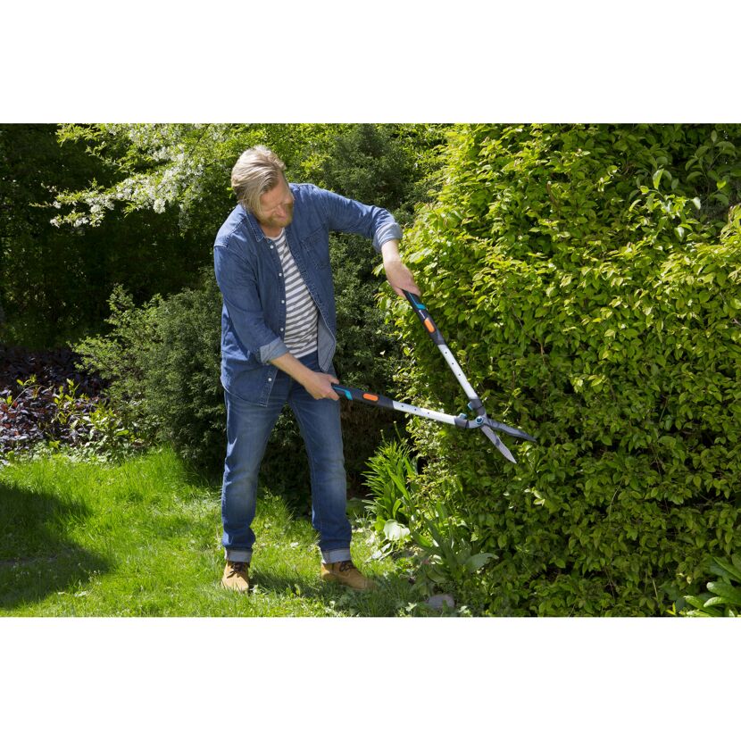 Person schneidet Hecke mit Heckenschere