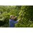 Person schneidet Hecke mit Heckenschere