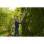 Person schneidet Hecke mit Heckenschere