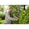 Person schneidet Hecke mit Heckenschere